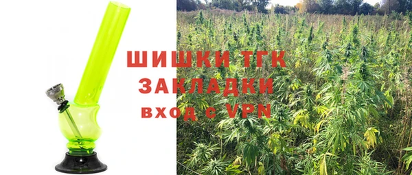 Альфа ПВП Арсеньев