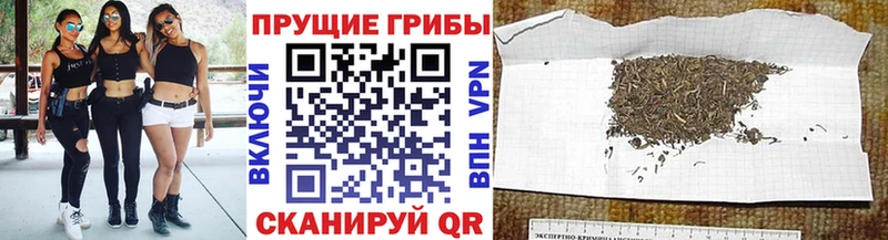 darknet официальный сайт  где найти   Сланцы  Псилоцибиновые грибы MAGIC MUSHROOMS 
