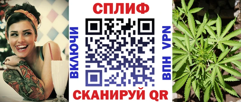 блэк спрут ссылка  Сланцы  Бошки марихуана семена 